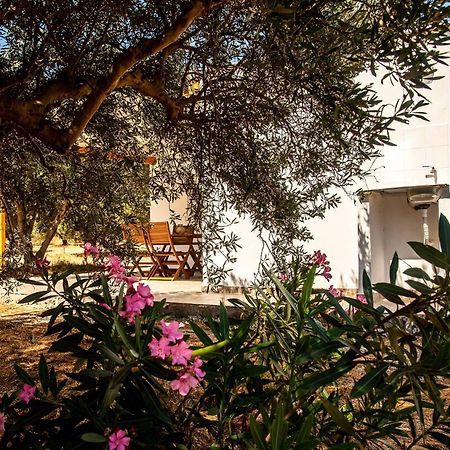 Flamingo Colour Valey House Palekastro Exterior foto